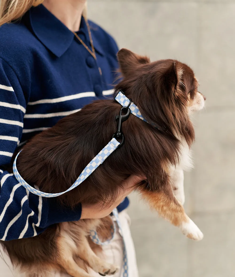 Cafide Juno Vichy Blue hundehalsbånd recycled