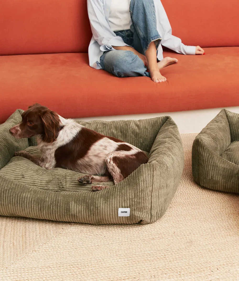 Cafide Snozy hundeseng grøn fløjl S 56x50x18