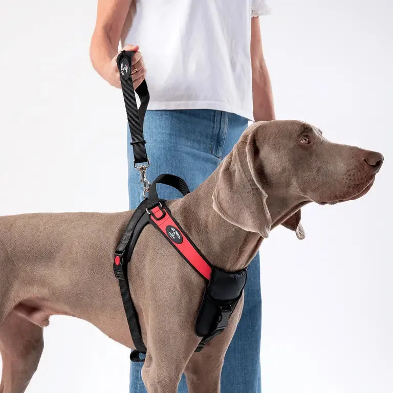 Tre Ponti Control hundeline kort sort til store hunde