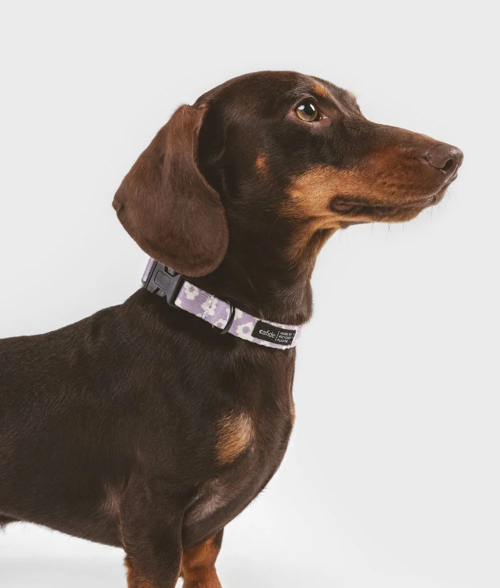 Cafide Juno halsbånd violet M genbrugs-PET