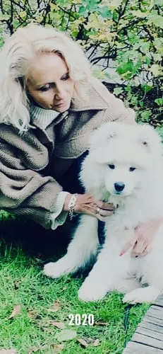 Tazz la Pepita butterfly til hund ternet str S L