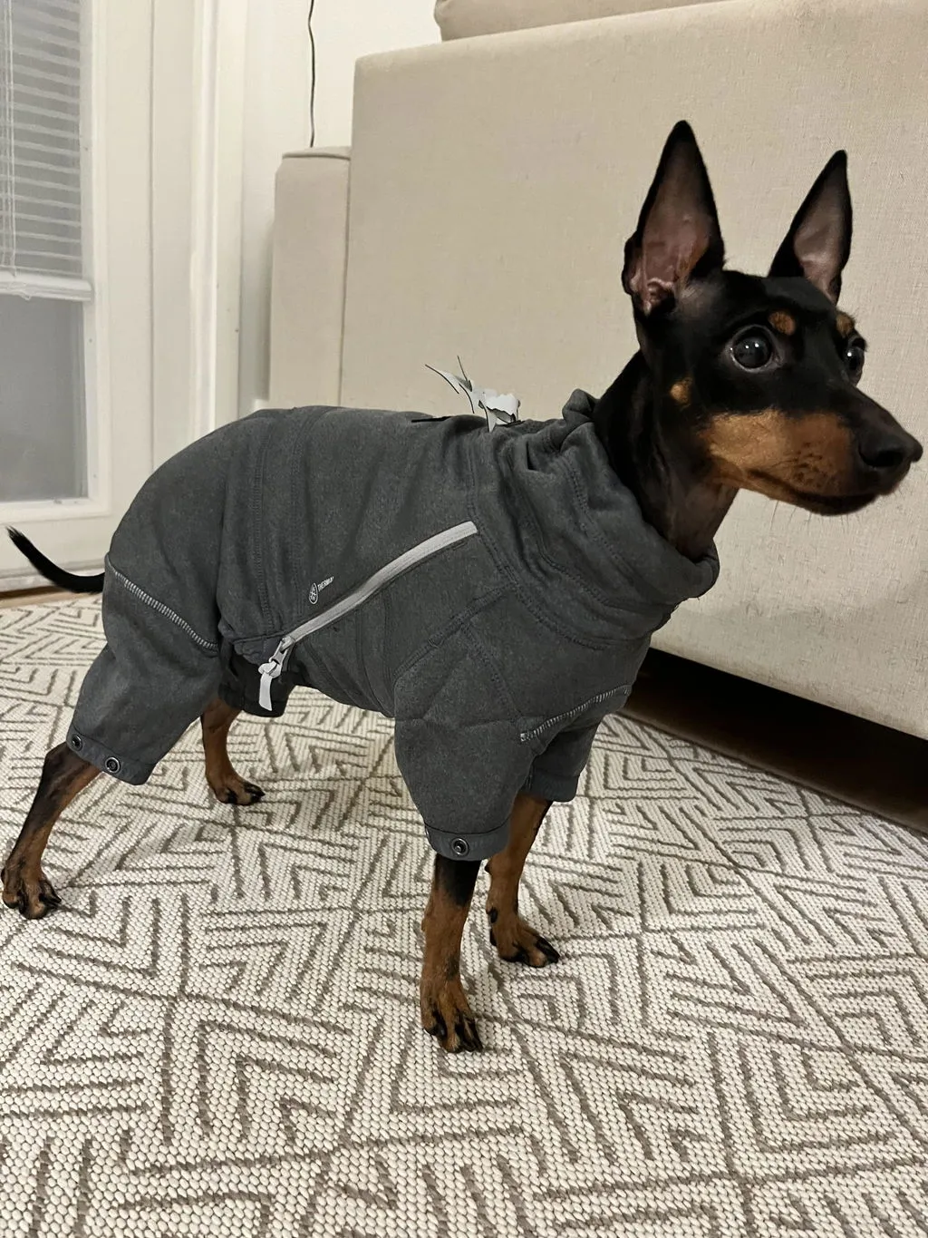 Hurtta Midlayer Overall hundedragt blackberry varm
