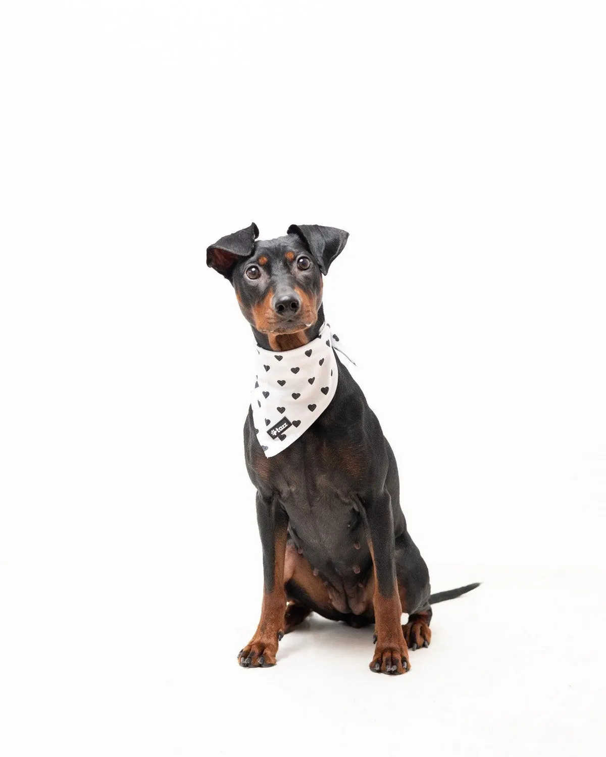 Tazz Everglow bandana hvid med hjerter
