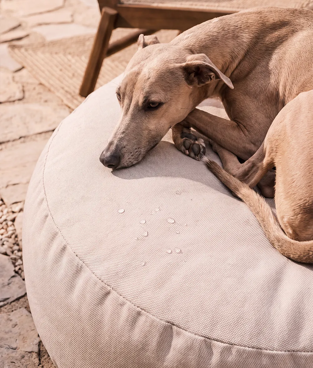 Cafide Calos hundeseng beige udendørs L