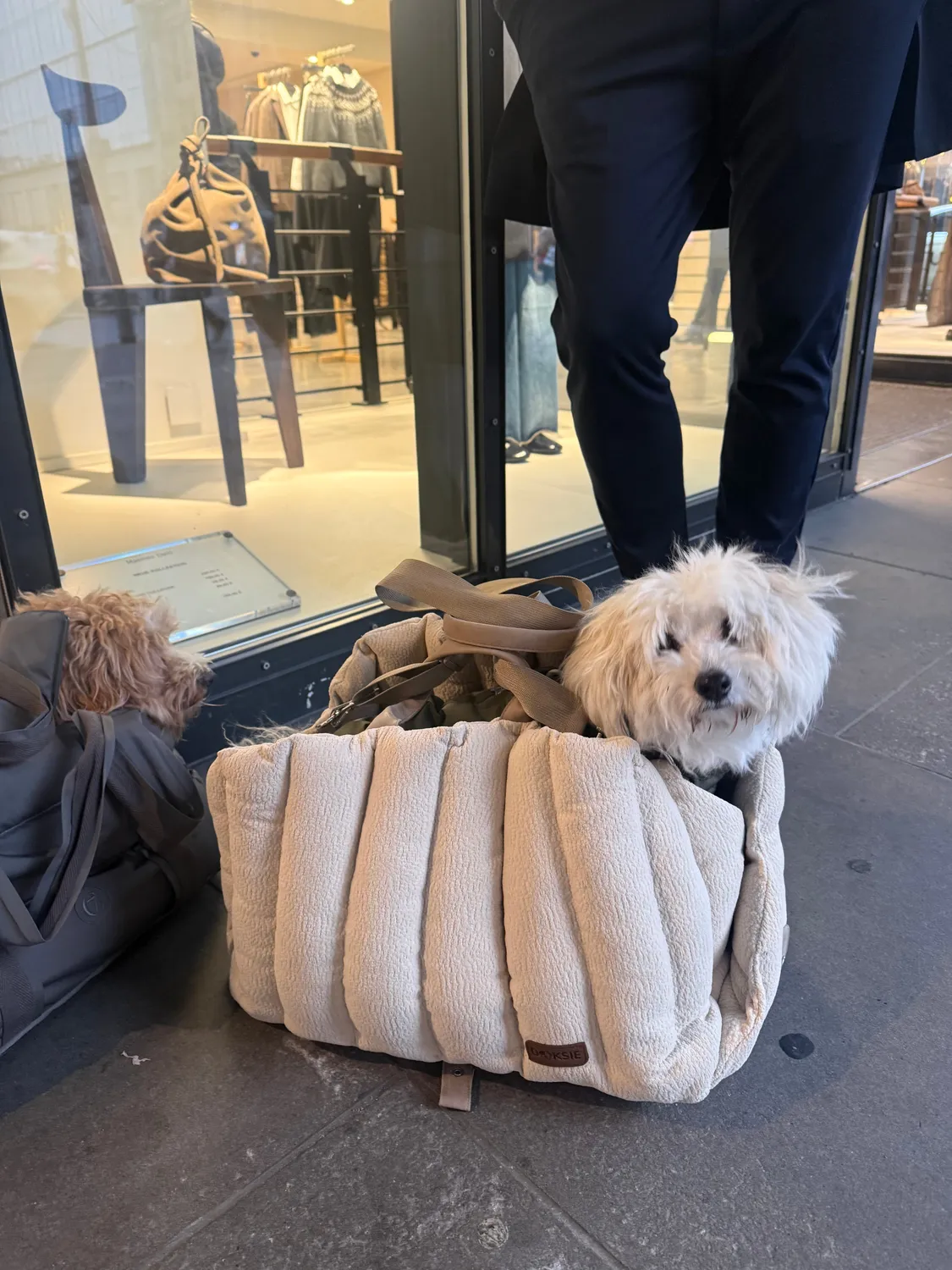 Doksie Trip 01 hundetaske beige til 5 kg