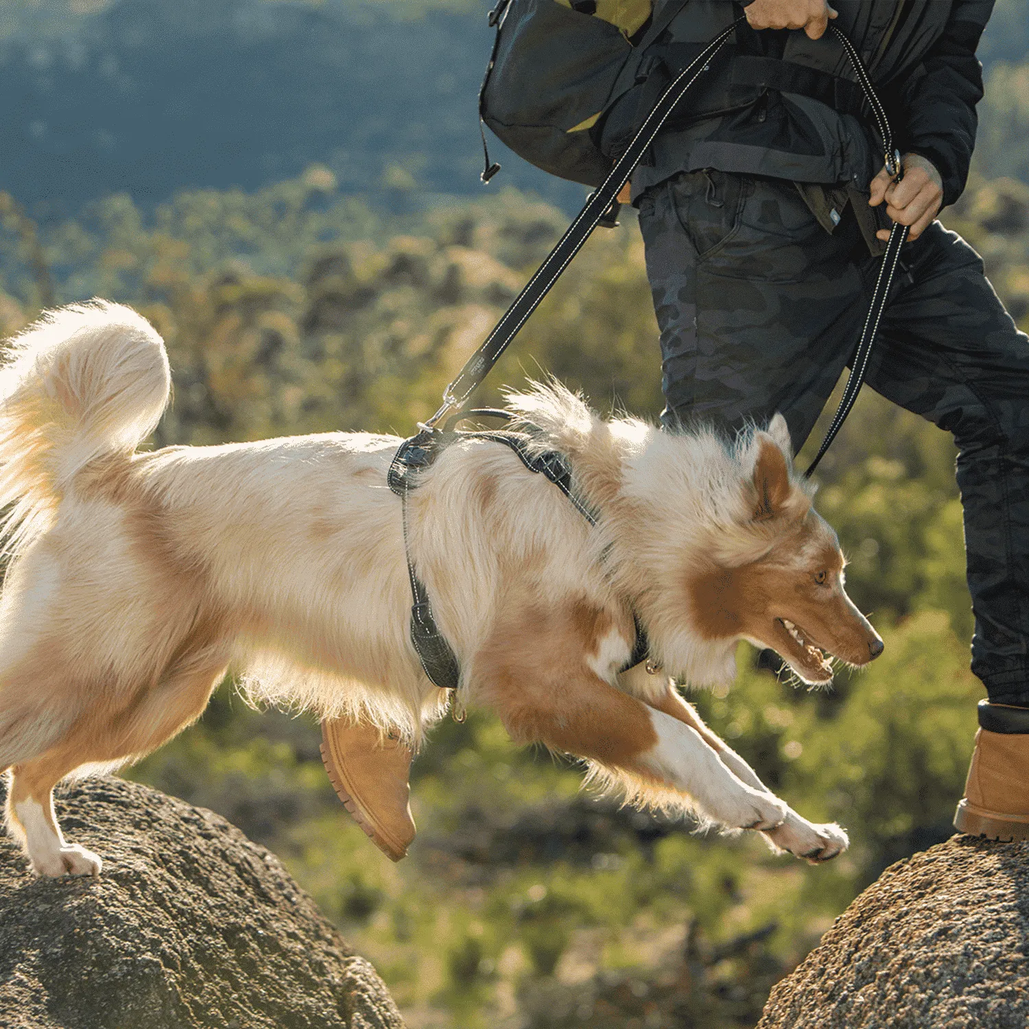 Rogz Utility Multi hundesnor slidstærk