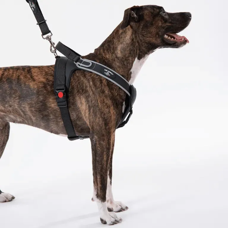 Tre Ponti Potenza hundesele M sort slidstærk Y-sele