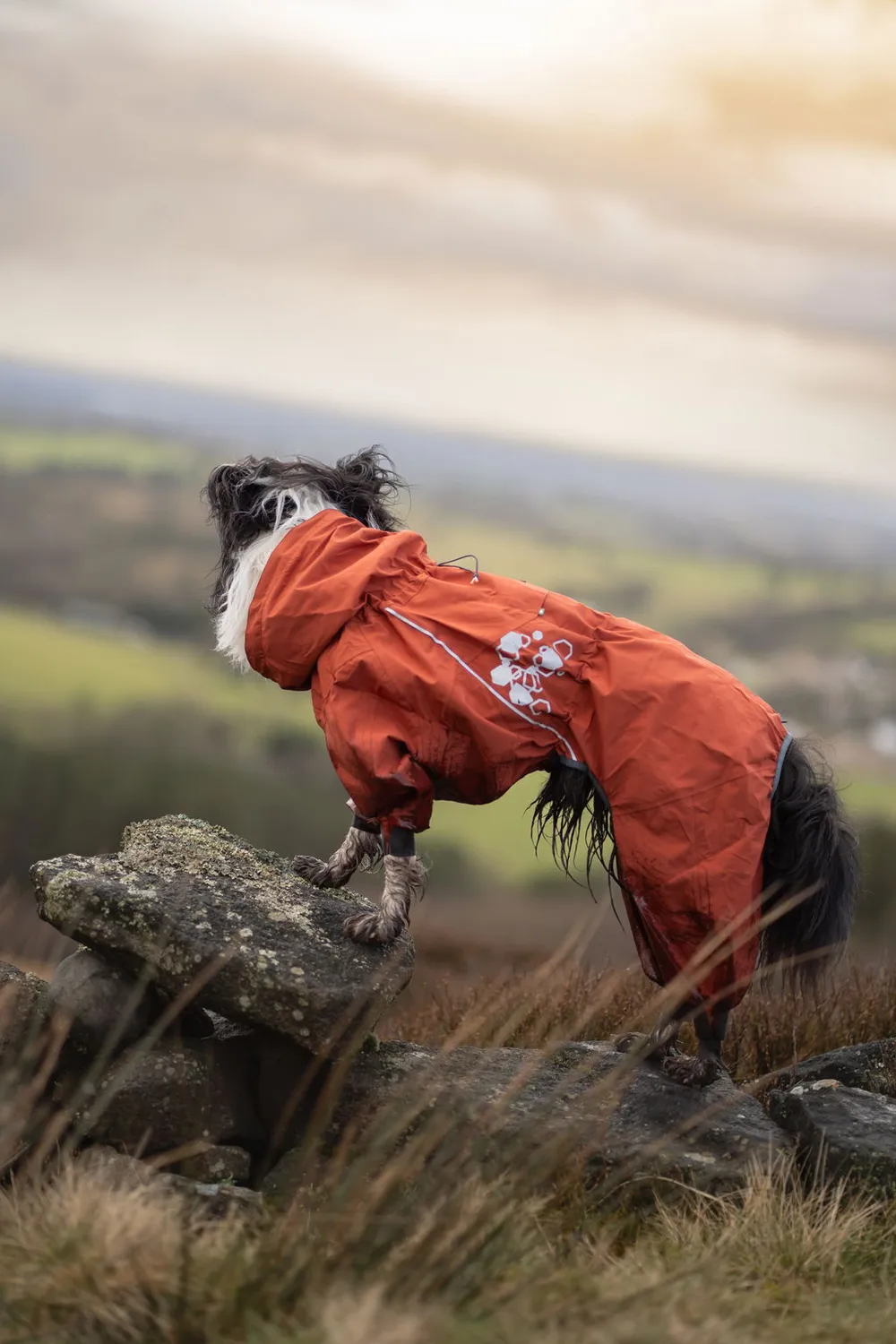 Hurtta Mudventure hundeoverall raven vandtæt