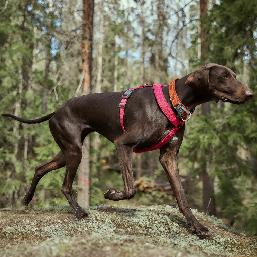 Hurtta Casual hundehalsbånd neopren justerbar