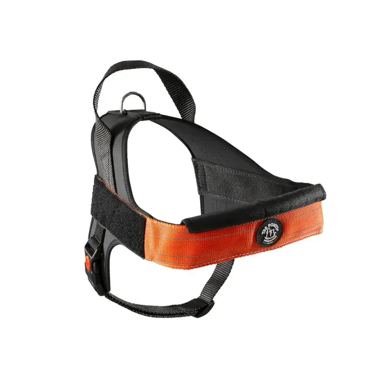 Tre Ponti Flash Velcro hundesele stor hund sort