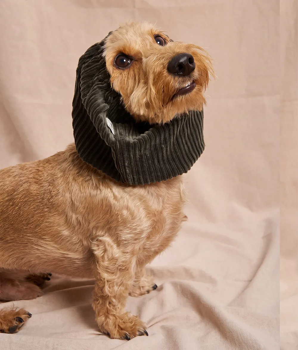 Cafide Olga Corduroy Green snood M grøn fløjl ørevarmer