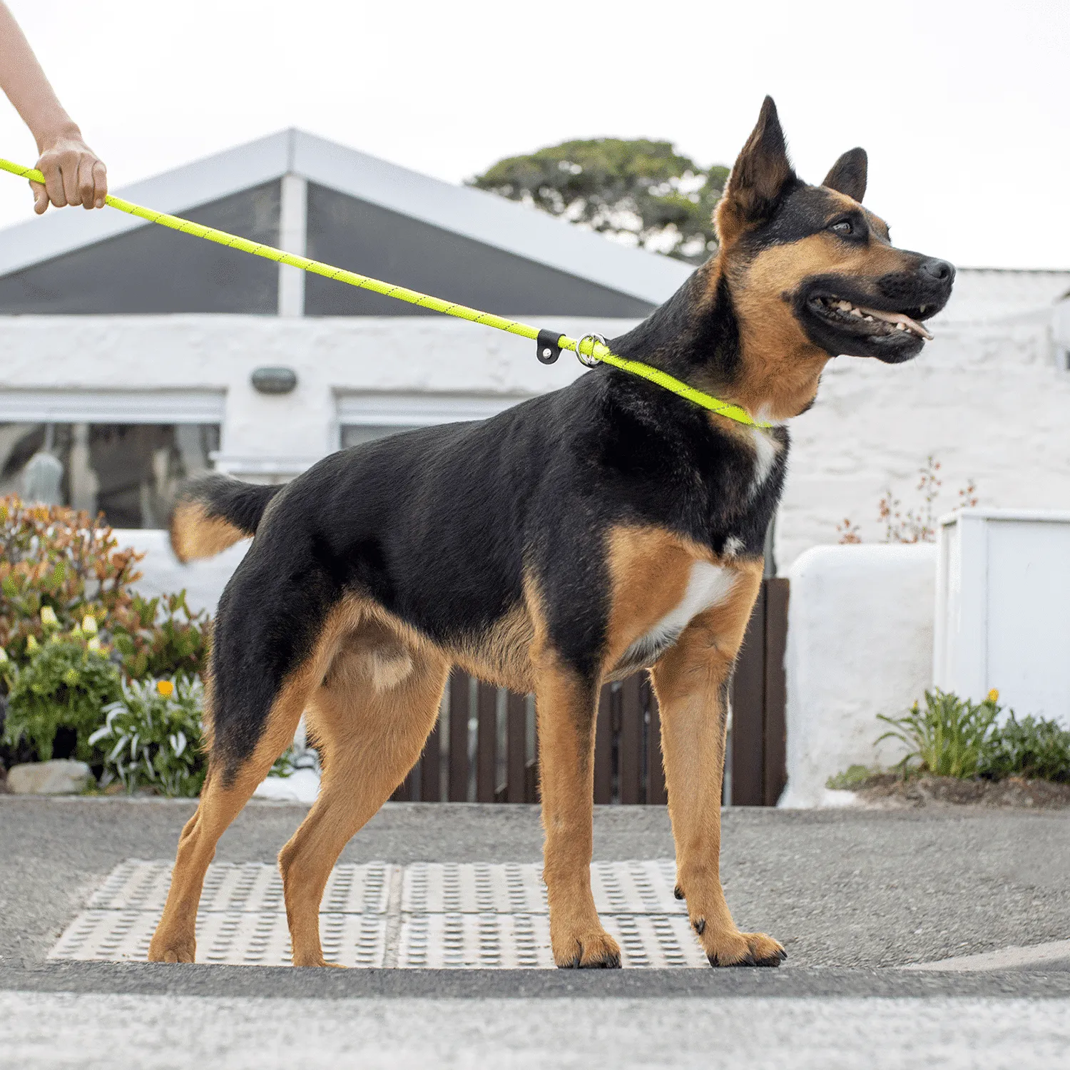 Rogz Rope Quick-Fit hundesnor reb slidstærk