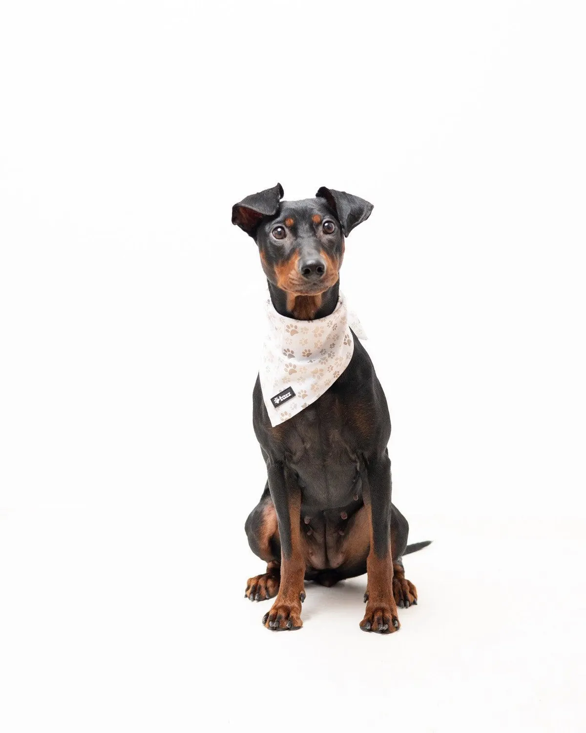 Tazz Paws in Love bandana til hund beige