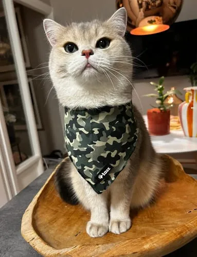 Tazz Everglow bandana hvid med hjerter