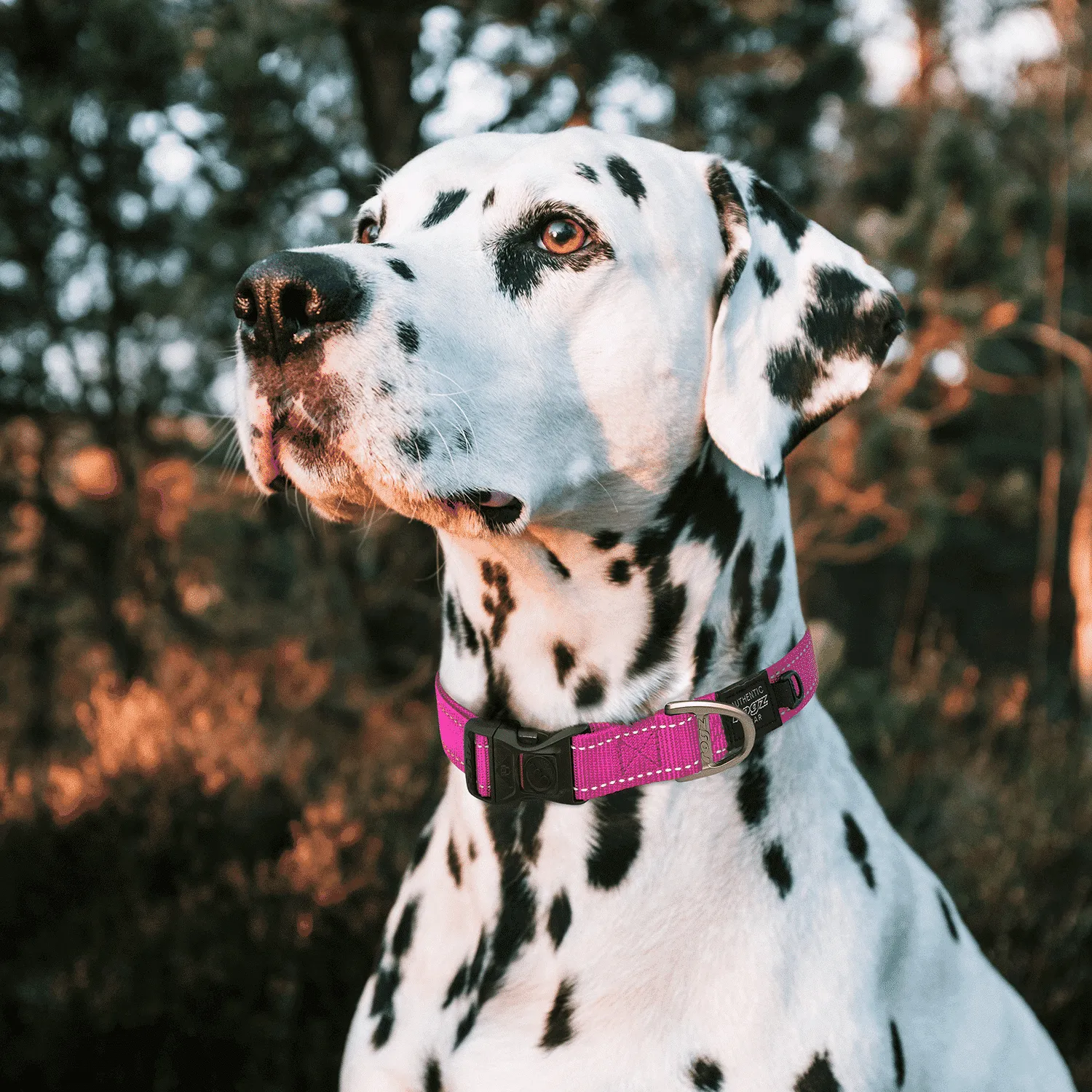 Rogz Utility Classic hundehalsbånd reflekterende