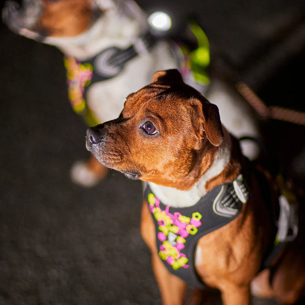 Hurtta Weekend Warrior Neon Harness II hundesele Neon licorice refleks
