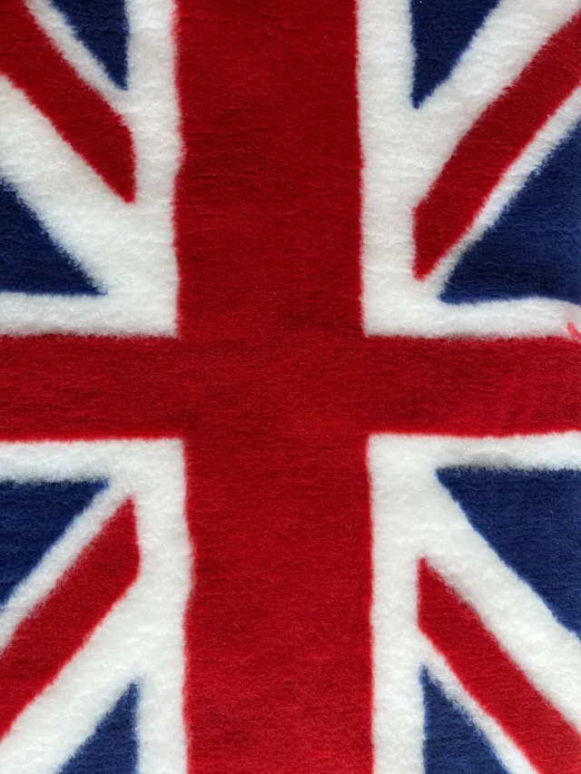 Vetbed hundetæppe flag 75x100 cm skridsikker