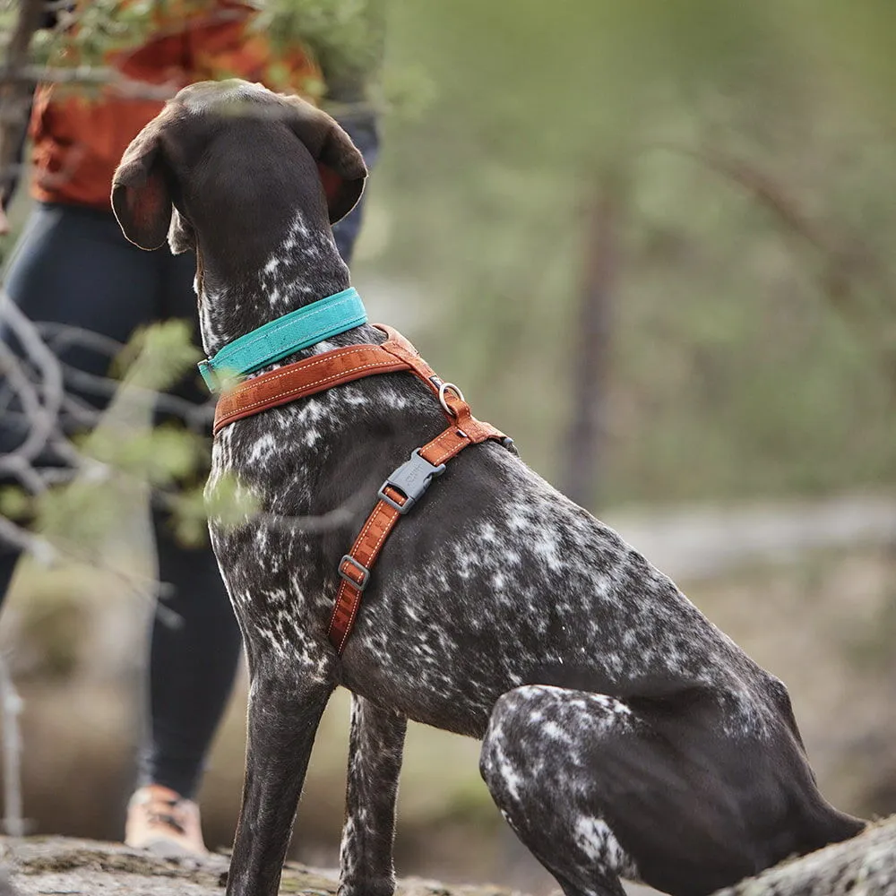 Hurtta Casual Y-Harness hundesele Raven 60-70 vandafvisende