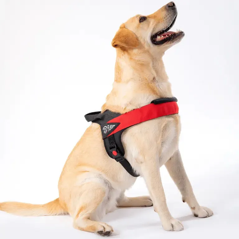 Tre Ponti Flash hundesele stor polstret