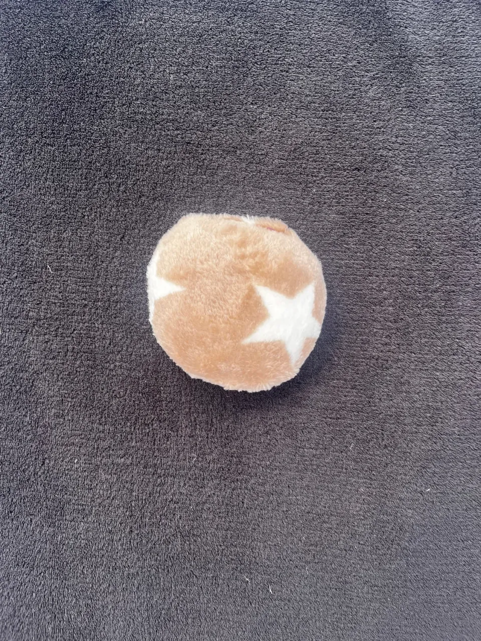 Wellness Rund pude hundelegetøj beige stjerner små