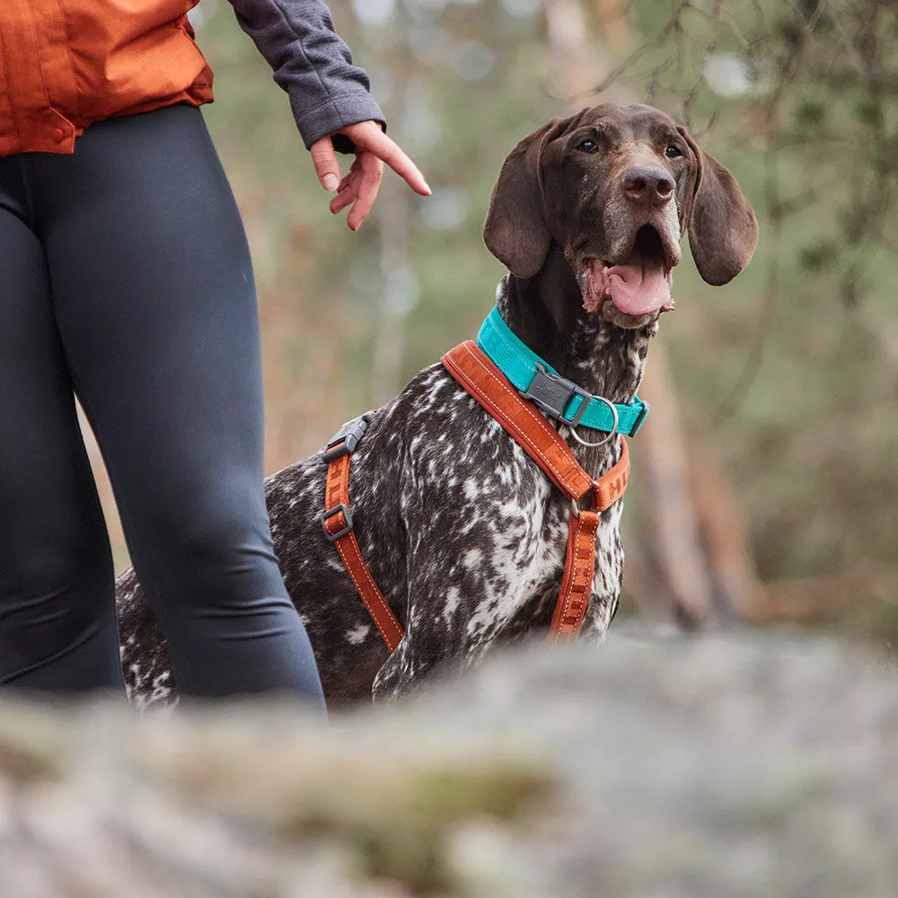 Hurtta Casual hundehalsbånd neopren justerbar
