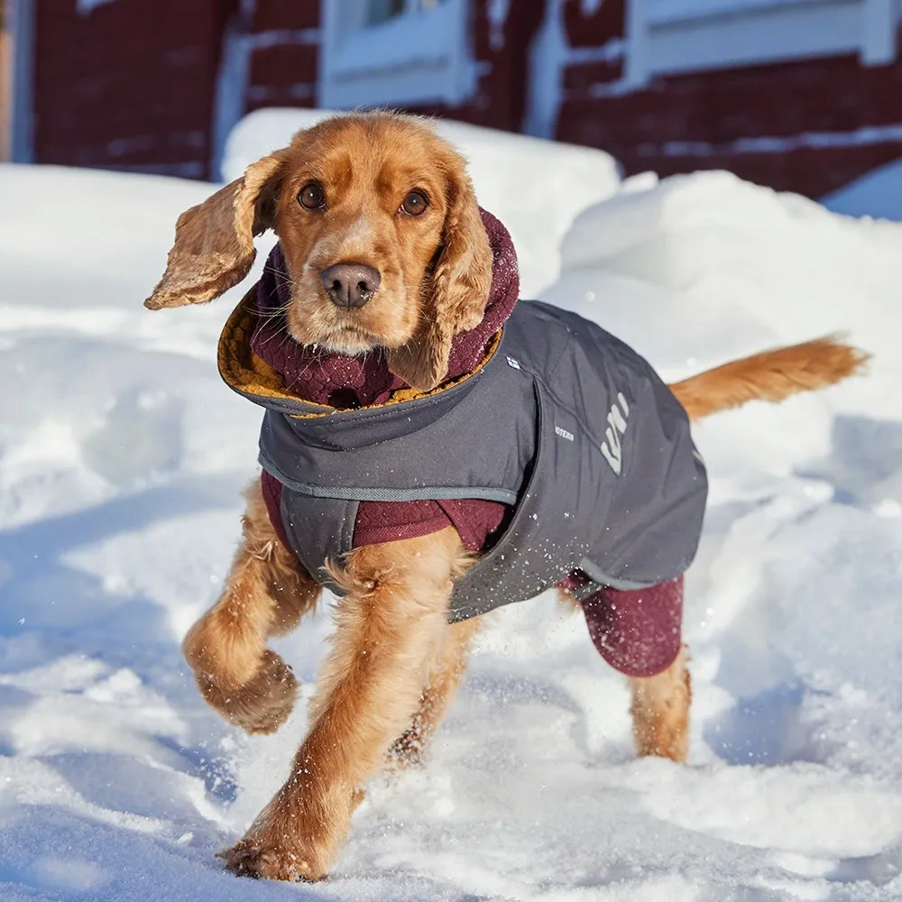 Hurtta Walk allvädersjacka hundejakke Blackberry vandtæt