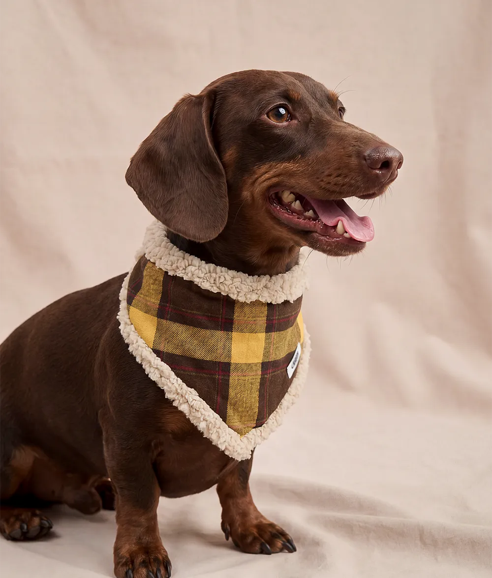 Cafide Nata Tartan Mustard hundebandana senneps ternet