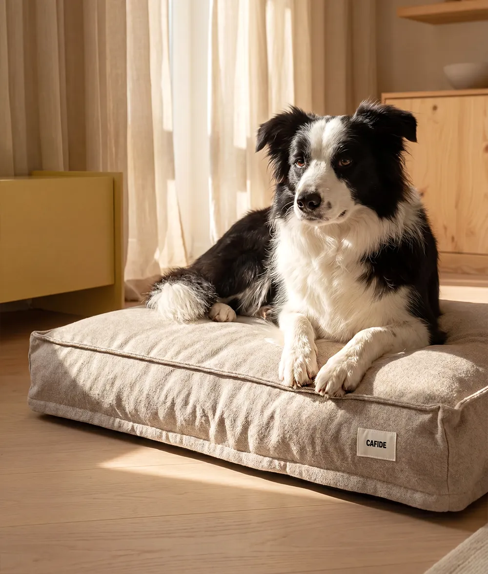 Cafide Cuadra hundeseng beige M 75x60 cm